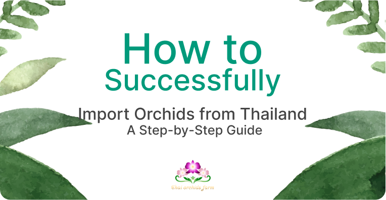 How to Successfully Import Orchids from Thailand: A Step-by-Step Guide
